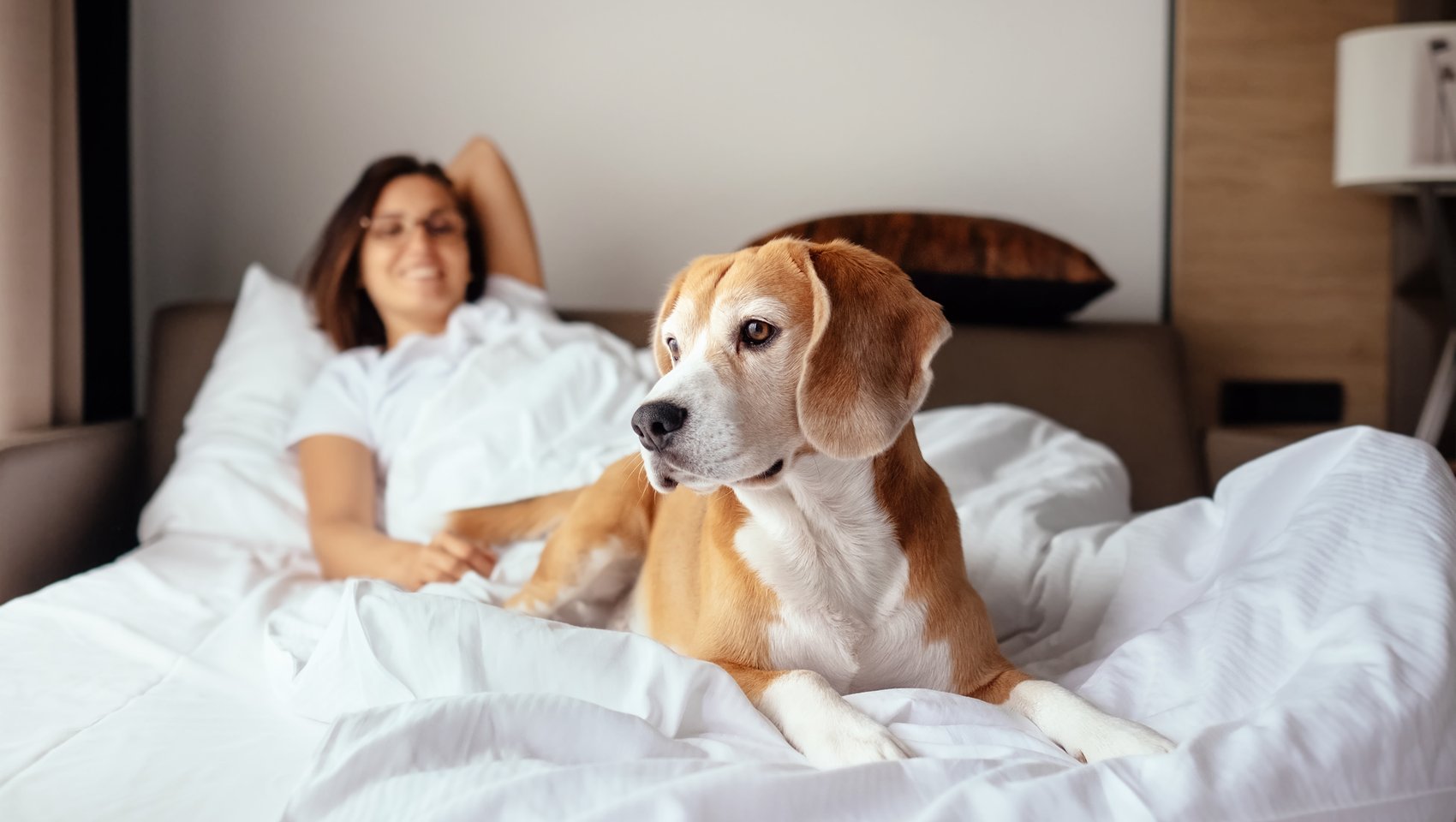 Woman and her dog relaxing in bed at Kimpton Gray Hotel